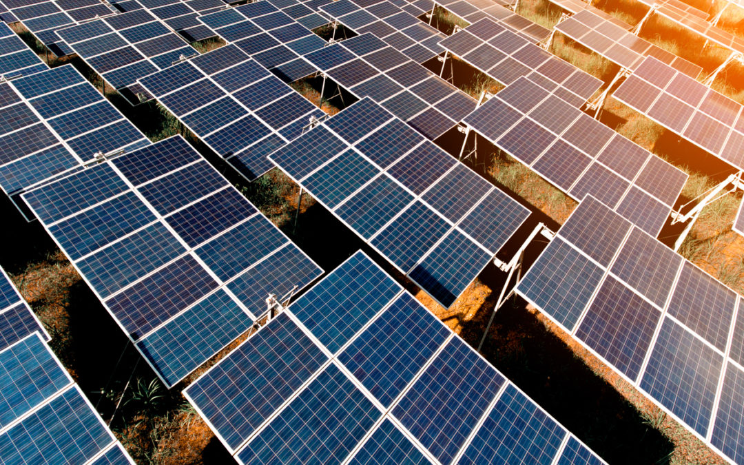 ¿Por qué instalar paneles solares en tu empresa? Aquí la respuesta